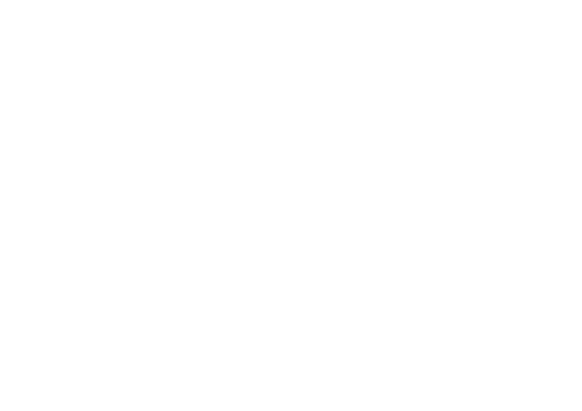 Dvision Consulting